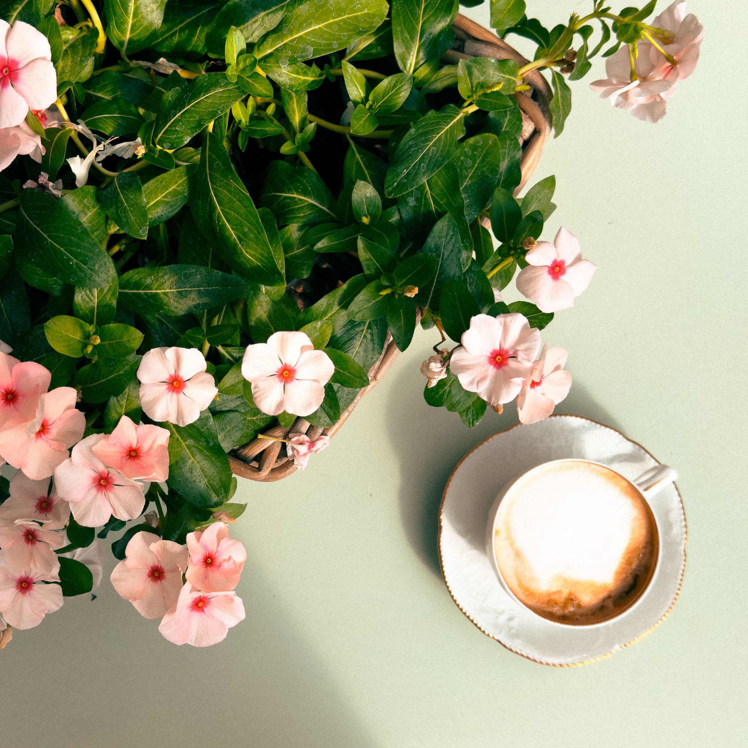 tazza di caffè su sfondo chiaro accanto a fiori rosa in terrazza – scatto di un ospite a Fra le righe B&B